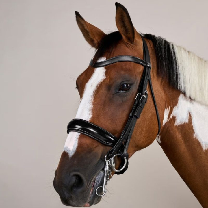 Kandarenzaum Lack WC Schwarz in der Gruppe Pferdezubehör & Pferdebedarf / Zaumzeug & Stirnriemen / Kandarenzaum & Dressurtrensen bei Equinest (WOECASSv_r)