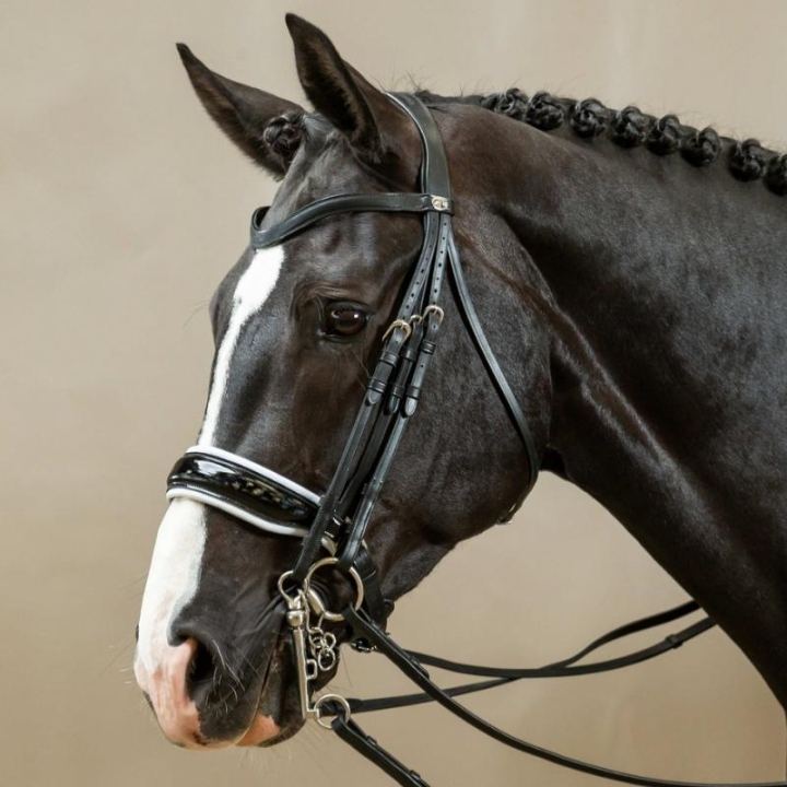 Kandarenzaum Working Collection Schwarz/Weiß in der Gruppe Pferdezubehör & Pferdebedarf / Zaumzeug & Stirnriemen / Kandarenzaum & Dressurtrensen bei Equinest (WOECATSv_r)