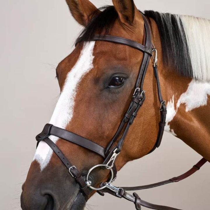 Trense Glatter Nasenriemen WC Braun in der Gruppe Pferdezubehör & Pferdebedarf / Zaumzeug & Stirnriemen / Trensen bei Equinest (WOJOGJBr_r)