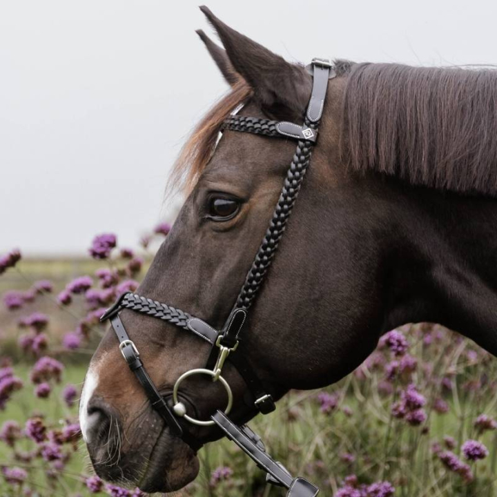 Trense Plaited Training Working Collection Schwarz in der Gruppe Pferdezubehör & Pferdebedarf / Zaumzeug & Stirnriemen / Trensen bei Equinest (WOXXJGBLCBA_r)