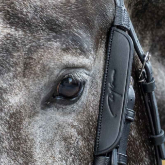 Fokus / Blinkers 2er-Pack Schwarz