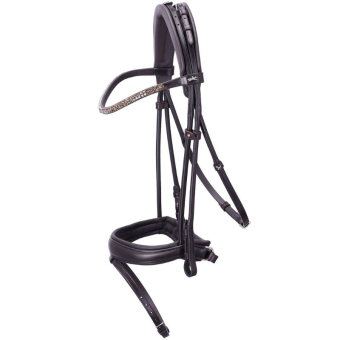 Dressurtrense Isabell Werth Satchmo Braun