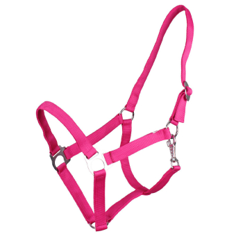 Halfter Slide Fuchsia