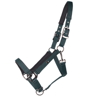 Halfter Deluxe Dunkelgrün