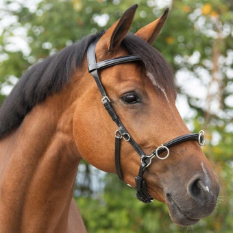 Kapson Leder Schwarz
