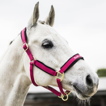 Halfter Werano Rosa