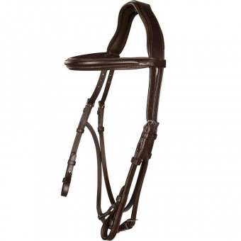 Chester Supreme Hackamore Bridle Brown