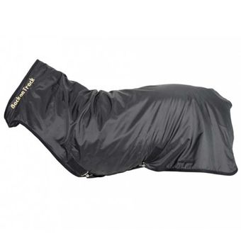 Führanlagendecke Schwarz