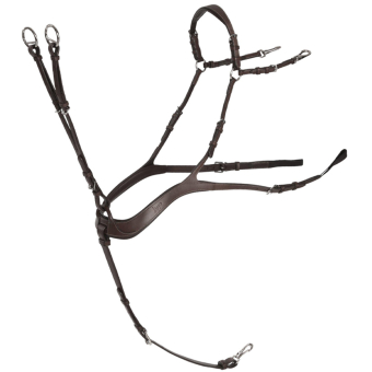 Anatomische Vorderzeug mit Martingal Chocolate/Silber