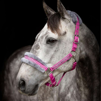 Halfter mit Fleece Rosa/Grau