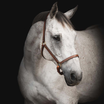 Lederhalfter Track Supreme Braun