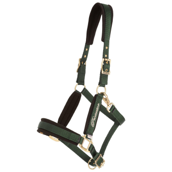 Halfter Comfort Grün