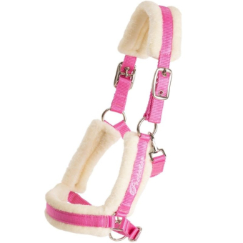 Fohlenhalfter Kenzo Rosa