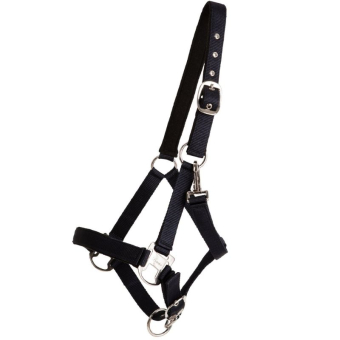 Halfter Double Buckle Marineblau