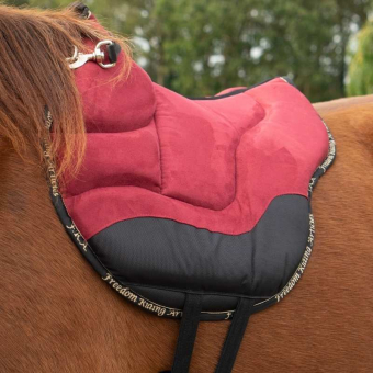Reitpad Dardo Basic Bordeaux