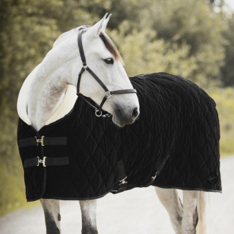 Turnierdecke Black Velvet 150g Schwarz