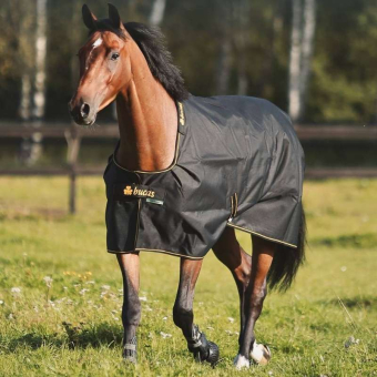 Outdoordecke Irish Turnout 100g Schwarz/Gold