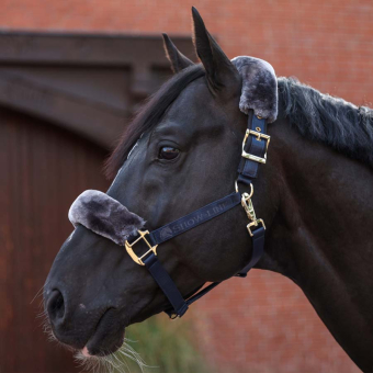 Halfter Show-Line Half Fur Marineblau