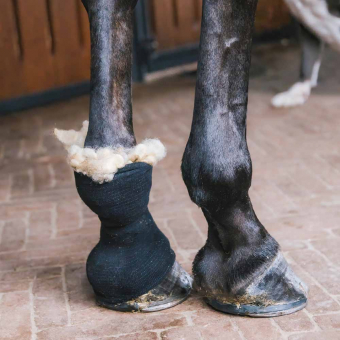 Wolle Therapeutic 150g Natur