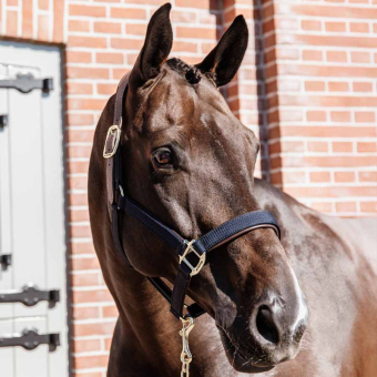 Halfter Anatomic Nylon Marineblau