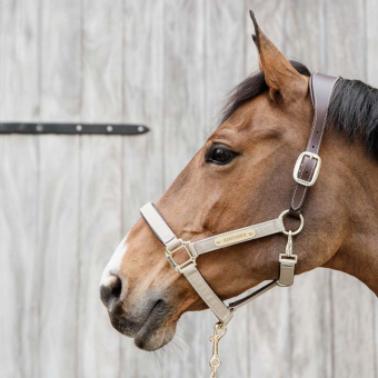 Halfter Anatomic Nylon Beige