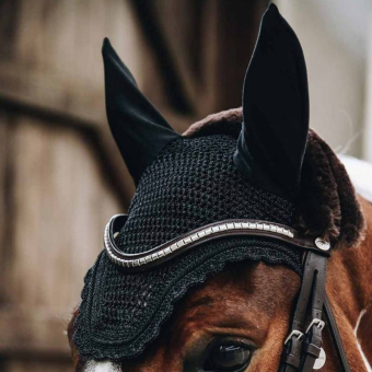 Fliegenhaube Schwarz