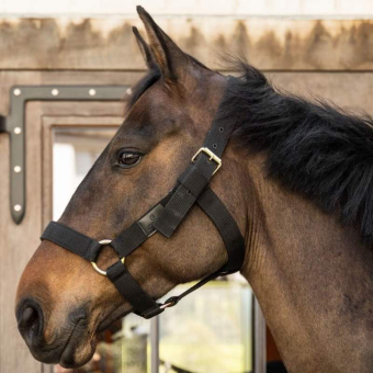 Halfter Heavy Duty Schwarz