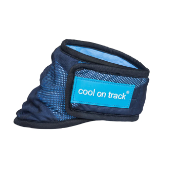 Hundeschal/Bandana Cool On Track Blau