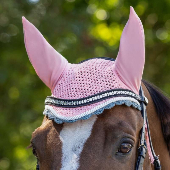 Fliegenhaube Farbe Rosa/Grau