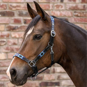 Lederhalfter Polo X-Line Schwarz/Blau