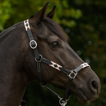 Lederhalfter Polo X-Line Schwarz/Rosa