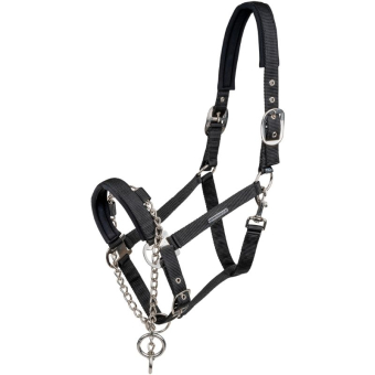 Halfter Control Pro Safety Schwarz