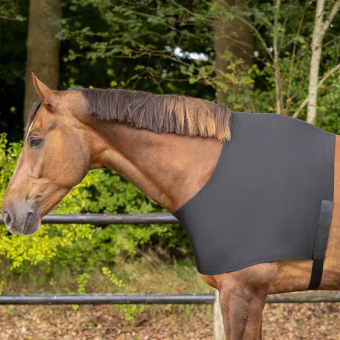 Schultergamaschen Elastic Schwarz
