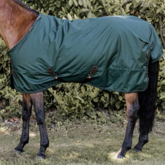 Turnout Rug All Weather Waterproof Pro 160g Dunkelgrün