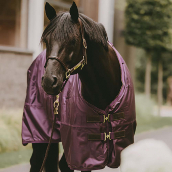 Turnout Rug All Weather Waterproof Pro 160g Lila