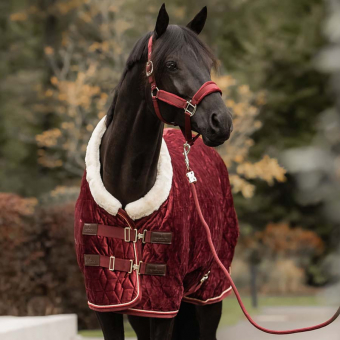 Turnierdecke Samt Bordeaux