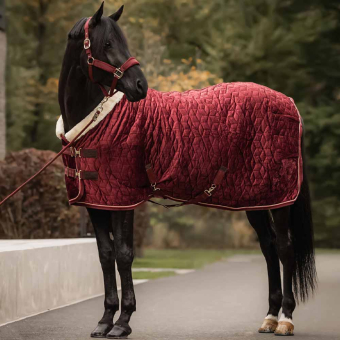 Turnierdecke Samt Bordeaux