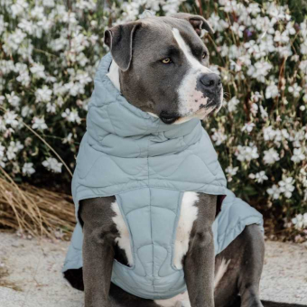 Hundemantel Winter Pina 160g Blau