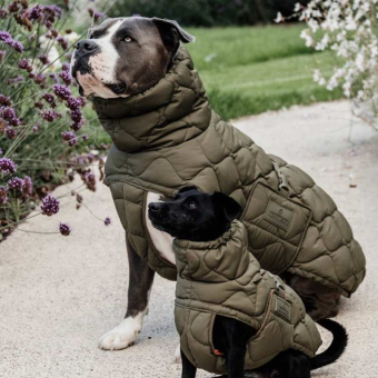 Hundemantel Winter Pina 160g Grün