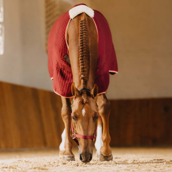 Abschwitzdecke PROTherm Bordeaux