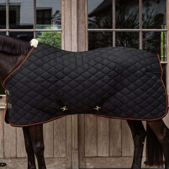 Stalldecke Wave 600D 160g Schwarz