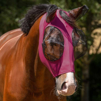 Fliegenhaube Super Bug Bordeaux