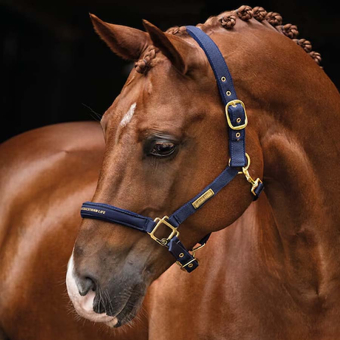 Halfter HS Equestrian Life Marineblau