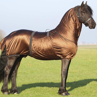 Ekzemerdecke Big Neck Braun