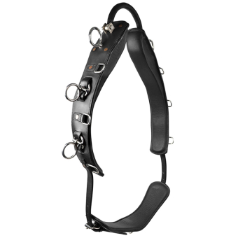 Longiergurt mit Bogen HS Schwarz