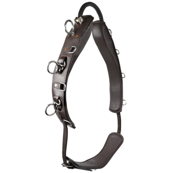 Longiergurt mit Bogen HS Braun