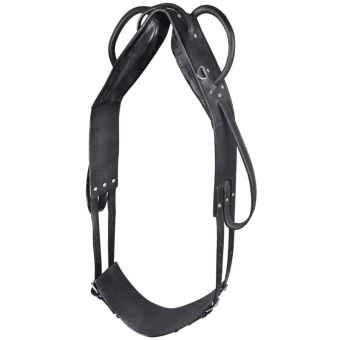 Voltigiergurt Leather Schwarz