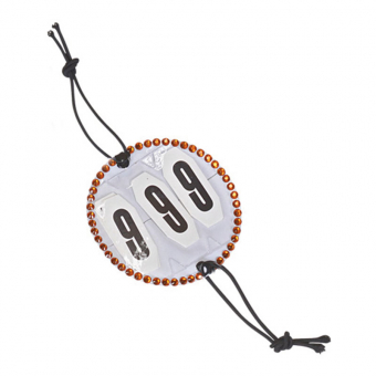 Nummernschild Kristall HG Gold