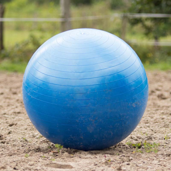 Pferdefußball Blau