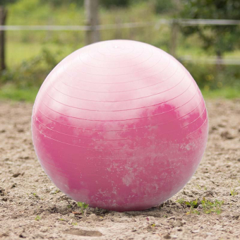 Pferdefußball Rosa
